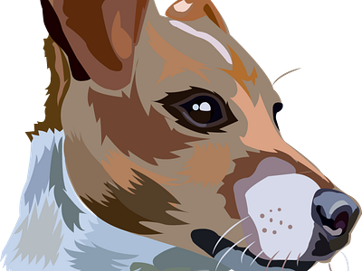 anjingsss design illustration vektor