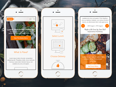 Flava - Lunch Delivery Service app application ios iphone mobile planning sketch travel ui ux visual design