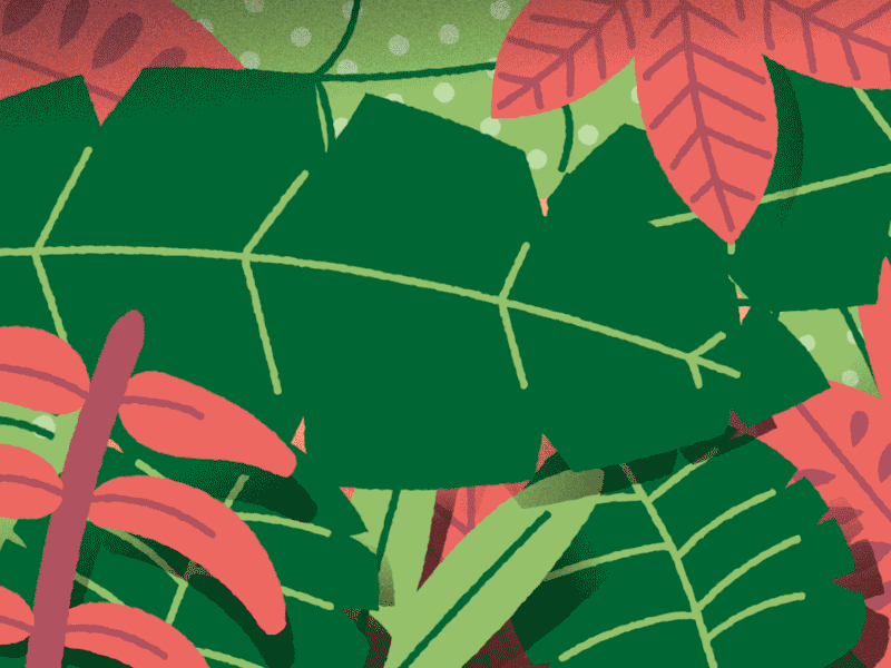 Jungle Peeper animated animation eyes foliage gif illustration jungle leaves loop peek plants