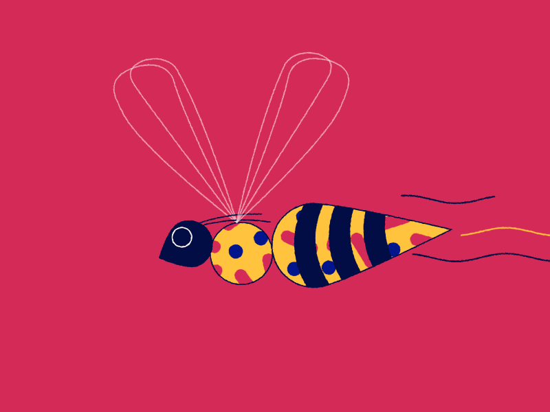 DASH Rebrand The Wasp by Oliver Sin on Dribbble
