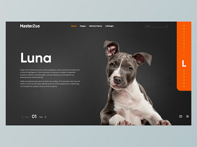 MasterZoo | Concept Page animals app branding concept design dogs illustration landing page logo product page typography ui ux vector