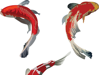 Fish koi animal design illustration realist vector