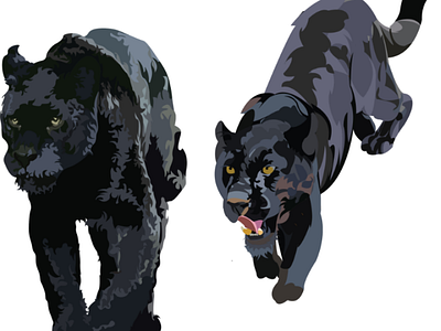 Black panther animal illustration realist