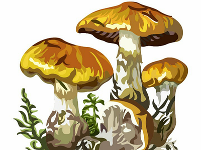 Mushroom plants 🍄 ai botanical illustration illustrationdesign mushroom plants