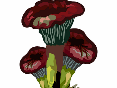 Mushroom plants pt2 mushroom botanical ai vector
