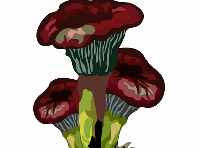 Mushroom plants pt2