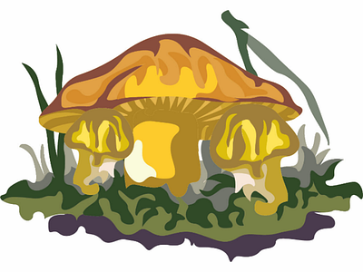 Mushroom plants pt6