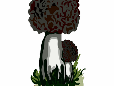 Mushroom plants 🍄 pt11 mushroom botanical ai vector