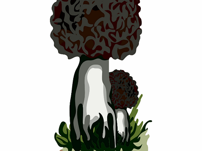 Mushroom plants 🍄 pt11