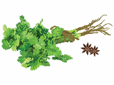 Cajuputi plants 🌱 ai brown cajuputi design graphic grass green illustration leaves natural vector yellow