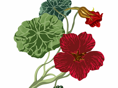 Red flower with green leaves