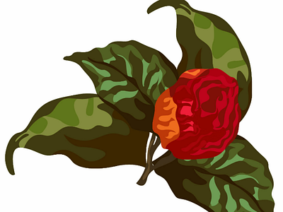 beautiful red rose with green leaves🌼 ai beautiful buds design flower fresh graphic grass green illustration leaves natural red rose vector