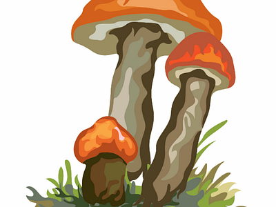 Orange mushroom plants with green grass 🍄 ai beautiful design flower fresh graphic grass green illustration leaves mushroom natural orange vector