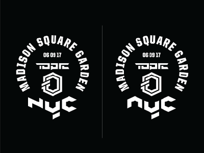 Topic MSG / NYC custom muay thai type typography