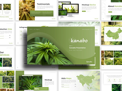 Kanabo Cannabis Presentation branding cannabis graphic design presentation presentation design presentation layout presentation template templete