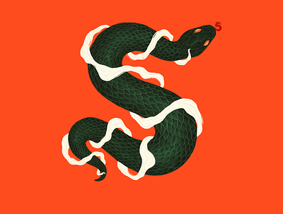 Sssnake 36 days of type animals illustration procreate snake