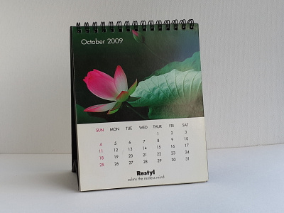 Calendar branding design graphic design