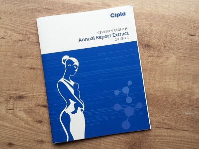 Annual Report Booklet branding design graphic design