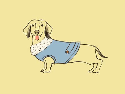 Dachshund dachshund dog illustration salchicha