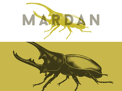 MARDAN beetle bug coleoptero mardan mark