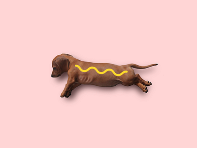 Piper Dachshund dachshund dog hotdog puppy sausage