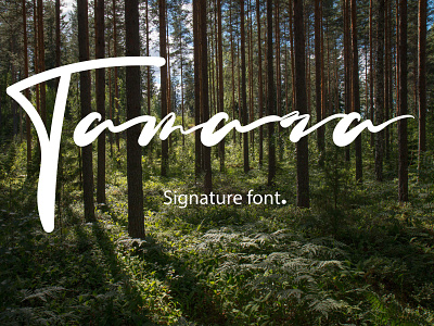 Tamara signature font branding design illustration minimal typography