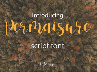 permaisure script font app art branding design graphic design illustration illustrator logo typography vector