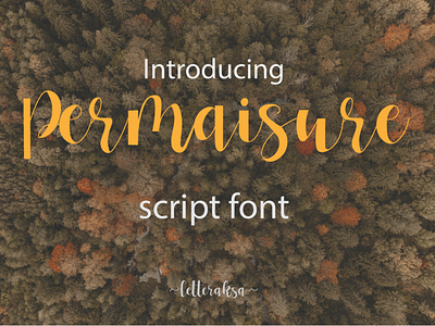 permaisure script font