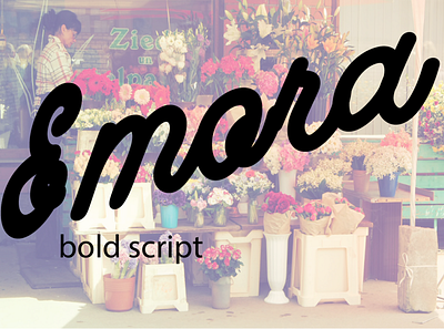 Emora bold script art branding design graphic design illustration illustrator logo typography vector