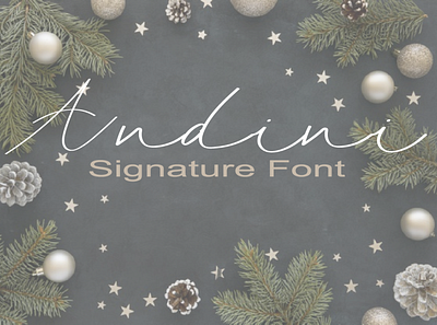 Andini signature font animation app art branding design illustration illustrator logo typography vector