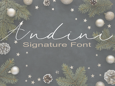 Andini signature font