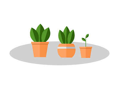 plants in pots art design flat illustration illustrator minimal vector web