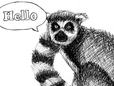 Hello animal black and white illustration lemur line drawing sketch