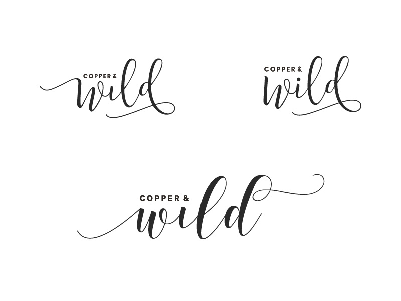 Copper and Wild developments personal brand illustrator identity type wip ideas logo typography brand