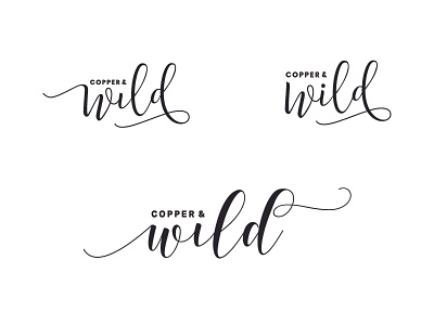 Copper and Wild developments brand ideas identity illustrator logo personal brand type typography wip