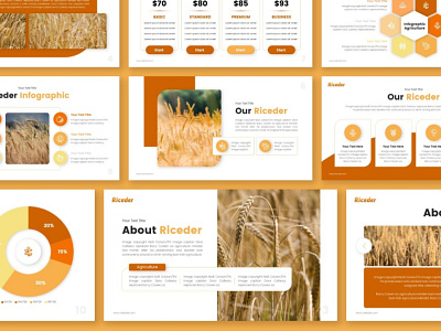 Riceder Agriculture Presentation agriculture creative design design powerpoint design powerpoint template presentation design presentation template