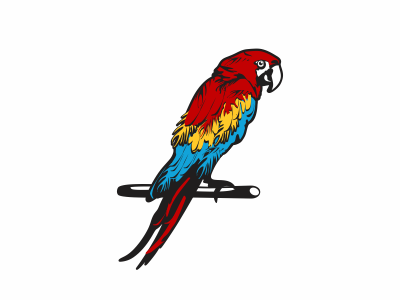 Parrot beauty bird color design graphic illustration logo parrot vector