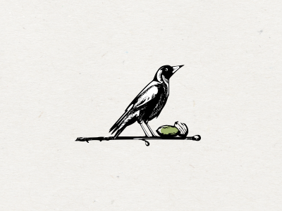 Magpie bird branch company drawing food illustration magpie nut organic pecan