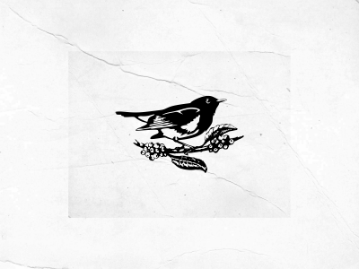 American Redstarter american bean bird coffee drawing leaf organic redstarter roasters vintage