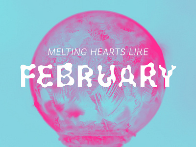 February Dribbble color graphic design typography