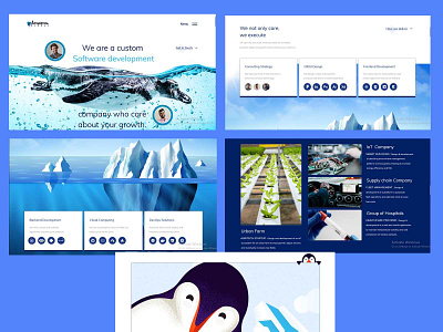 Antarctic Global Landing Page design landing page ui user experience ux web webpage website