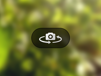 Flip Camera Icon button camera clean icon interface overlay photo pictogram simple snap ui