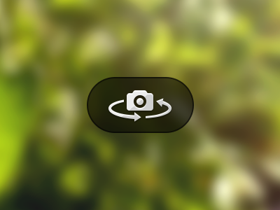Flip Camera Icon