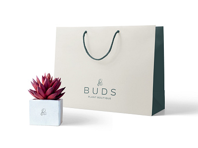 Buds Packaging brand brand and identity branding bud buds design identity logo logo design packaging packaging design plants plantshop print succulent succulents