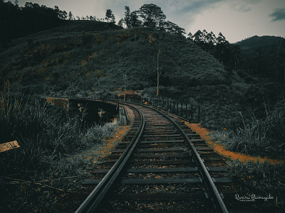 Moody Rail Road moody rail train