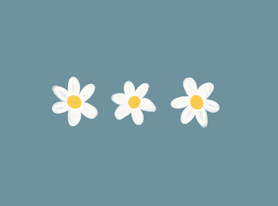 Daisies! branding design flat graphic design illustration illustrator logo minimal ui vector