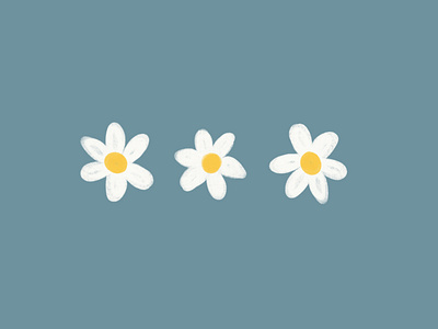 Daisies! branding design flat graphic design illustration illustrator logo minimal ui vector