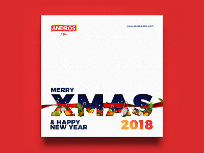 Andros Asia / Xmas & Happy New Year 2018 Visual andros branding card christmas fruit identity invitation new vietnam visual xmas year