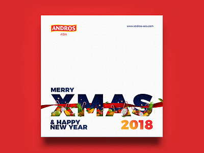 Andros Asia / Xmas & Happy New Year 2018 Visual