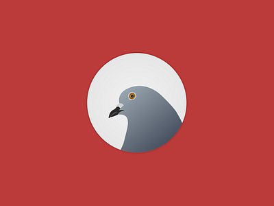 Pigeon adobe animal animal illustration bird illustration illustrator pigeon